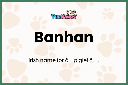 Banhan dog name meaning