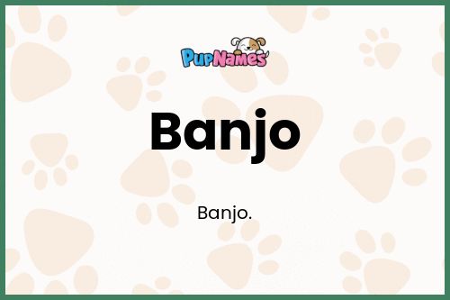 Banjo dog name meaning