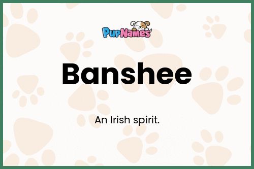 Banshee dog name meaning