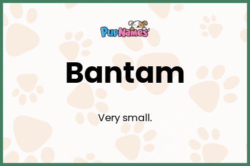 Bantam dog name meaning