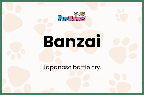 Banzai dog name meaning