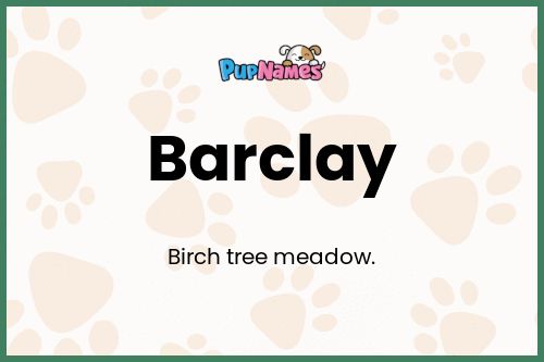 Barclay dog name meaning