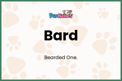 Bard dog name meaning