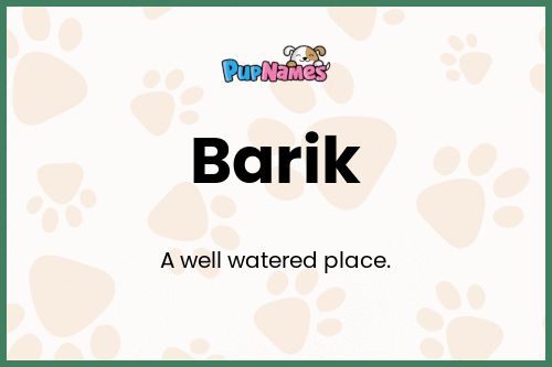 Barik dog name meaning