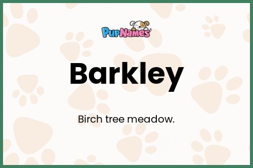 Barkley dog name meaning