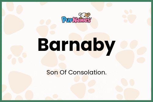 Barnaby dog name meaning