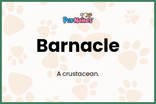 Barnacle dog name meaning