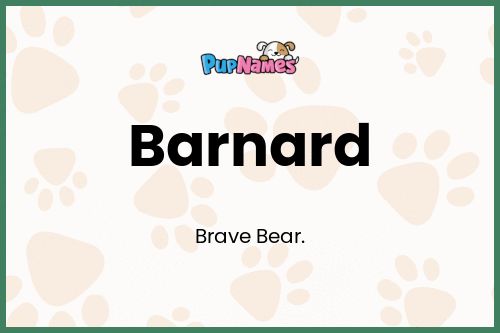 Barnard dog name meaning