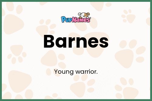 Barnes dog name meaning