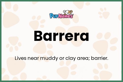 Barrera dog name meaning