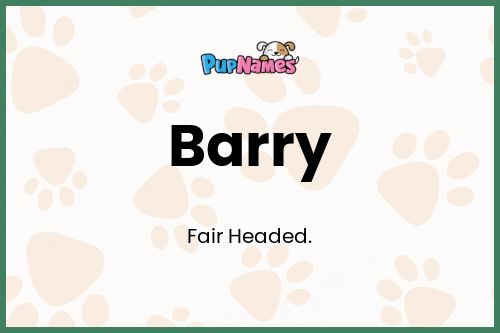 Barry dog name meaning