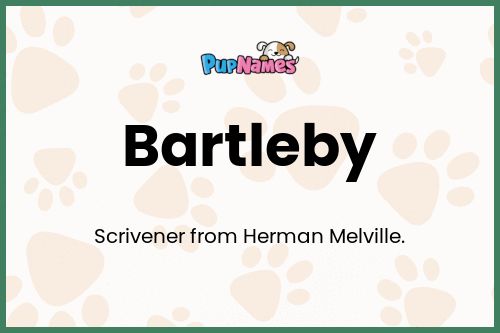 Bartleby dog name meaning