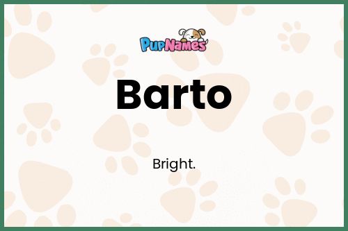 Barto dog name meaning