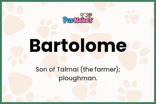 Bartolome dog name meaning