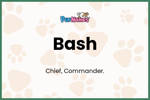 Bash dog name meaning