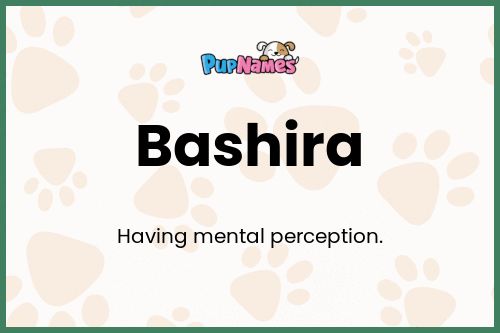 Bashira dog name meaning