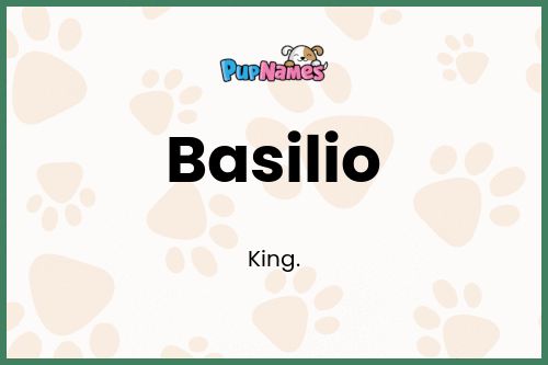 Basilio dog name meaning