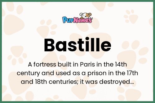 Bastille dog name meaning