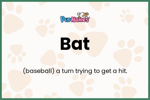 Bat dog name meaning