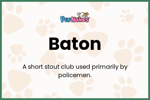 Baton dog name meaning