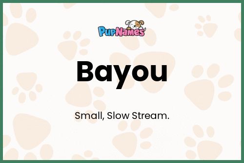 Bayou dog name meaning