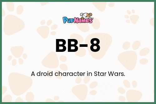 BB-8 dog name meaning