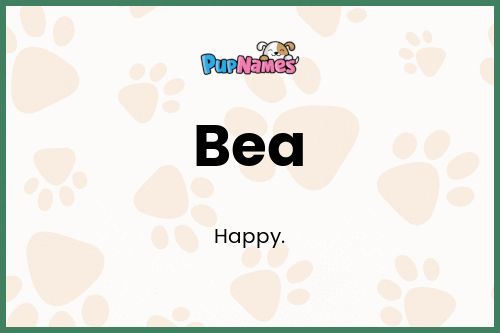 Bea dog name meaning