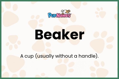 Beaker dog name meaning