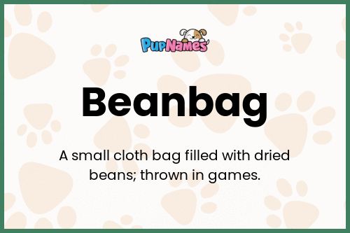 Beanbag dog name meaning