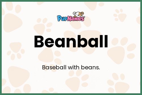 Beanball dog name meaning