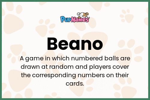 Beano dog name meaning