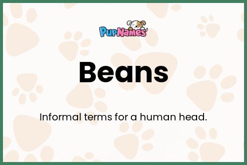 Beans dog name meaning