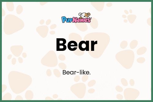 Bear dog name meaning