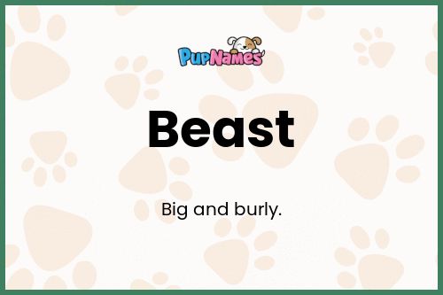 Beast dog name meaning