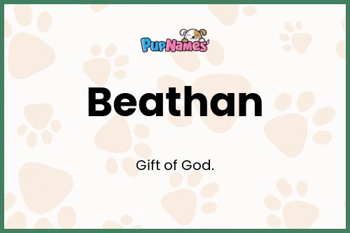 Beathan dog name meaning