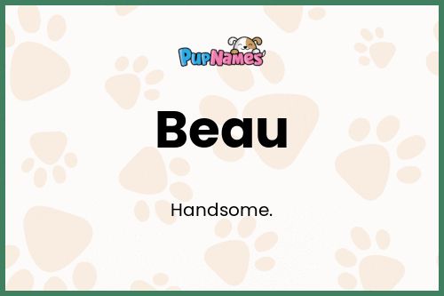 Beau dog name meaning