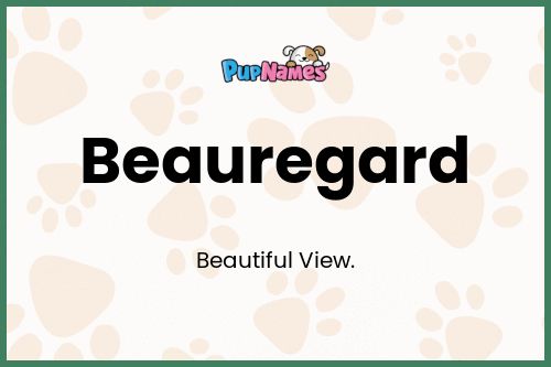 Beauregard dog name meaning