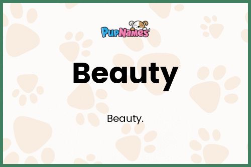 Beauty dog name meaning