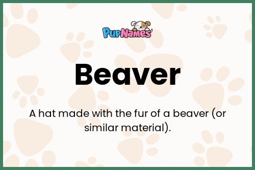 Beaver dog name meaning