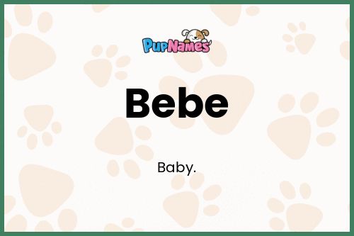 Bebe dog name meaning