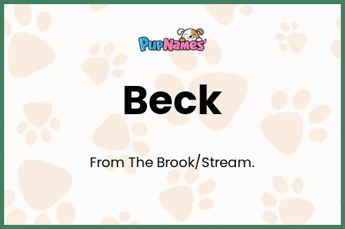 Beck dog name meaning