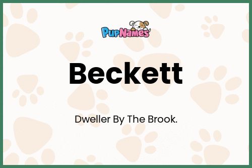 Beckett dog name meaning