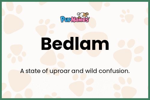 Bedlam dog name meaning