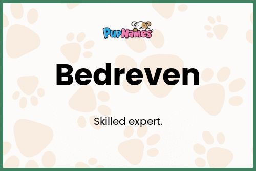 Bedreven dog name meaning