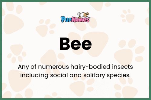 Bee dog name meaning