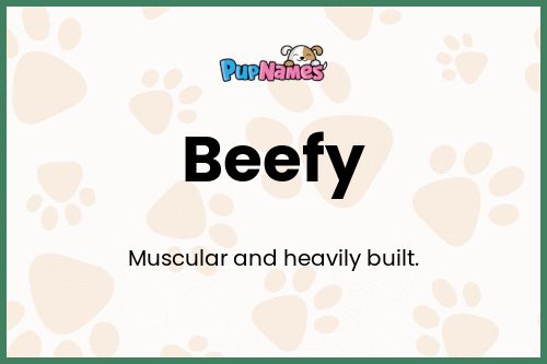 Beefy dog name meaning