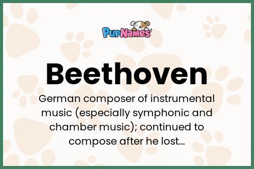 Beethoven dog name meaning