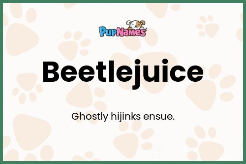 Beetlejuice dog name meaning