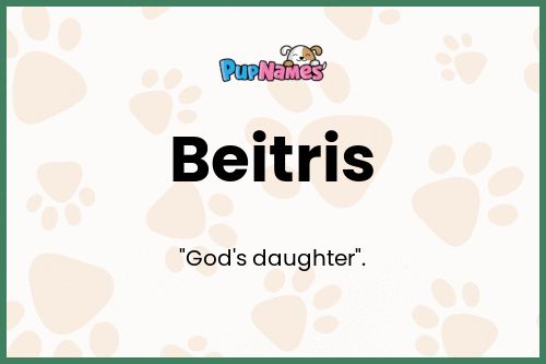 Beitris dog name meaning