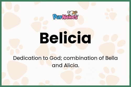 Belicia dog name meaning